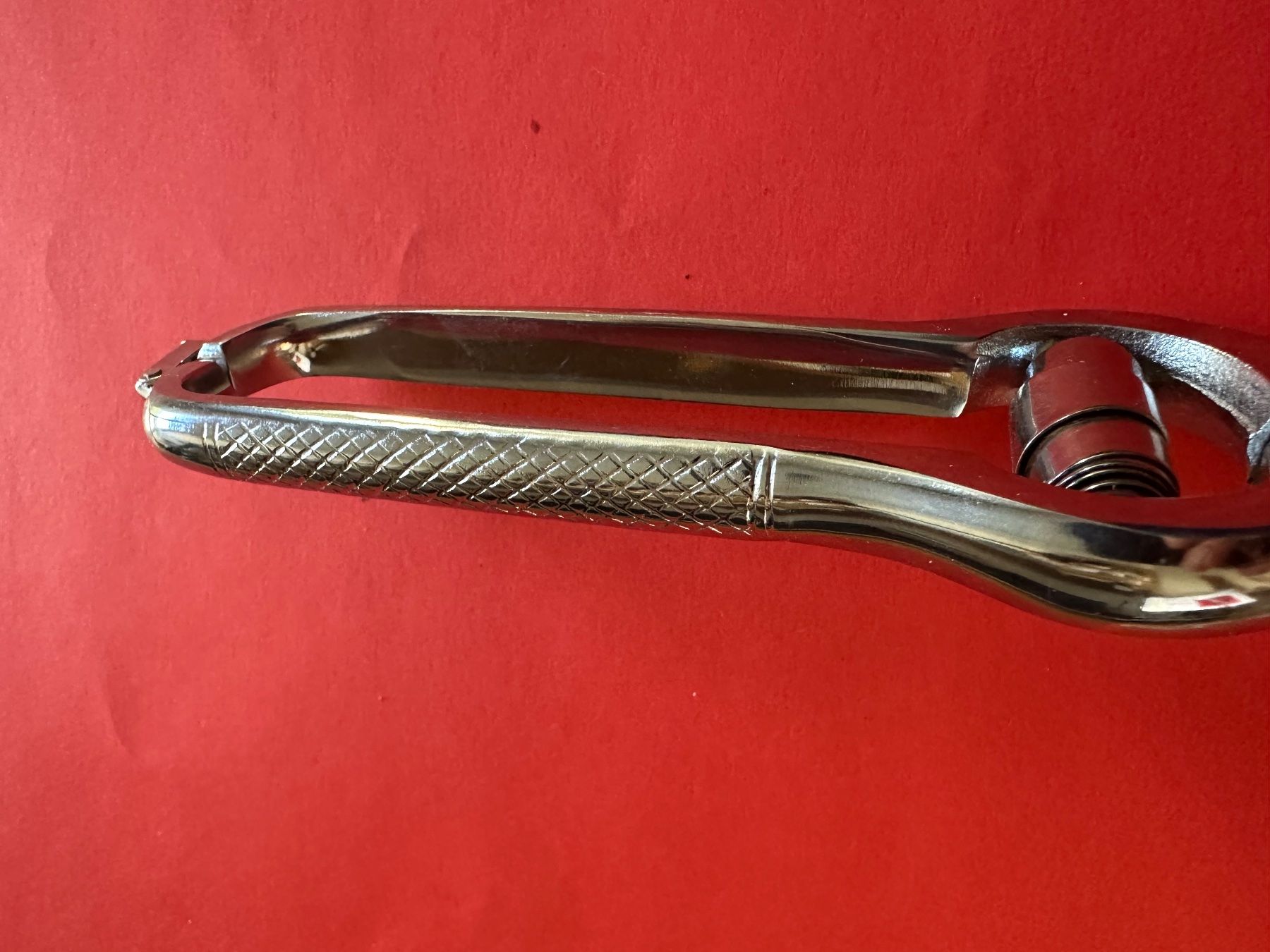 Elettrodomestici da cucina: Geflügelschere Solingen 25 cm – Usato da Stallikon venduto da Rsiri 4