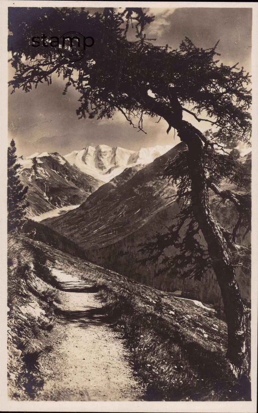 Cartoline postali: AK Piz Palü – Usato da Eggersriet venduto da stamp303
