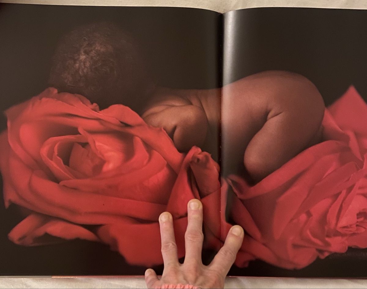 Libri: Anne Geddes Set – Nuovo e nell'imballaggio originale da Langenthal venduto da flower101 8