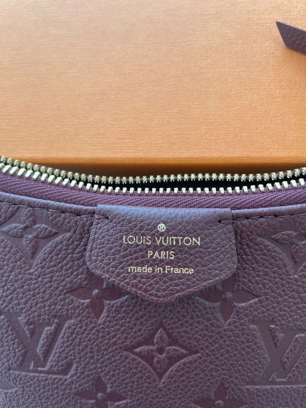 Louis Vuitton Borse da donna: LV Easy Pouch On Strap – Nuovo e nell'imballaggio originale da Baar venduto da Chrila3 5