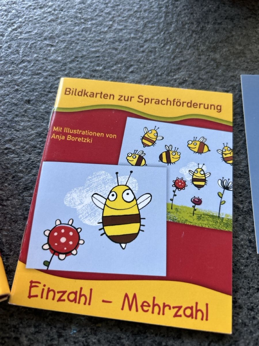 Giochi: Spiel Einzahl-Mehrzahl – Nuovo (secondo la descrizione) da Wichtrach venduto da henzmann1 3