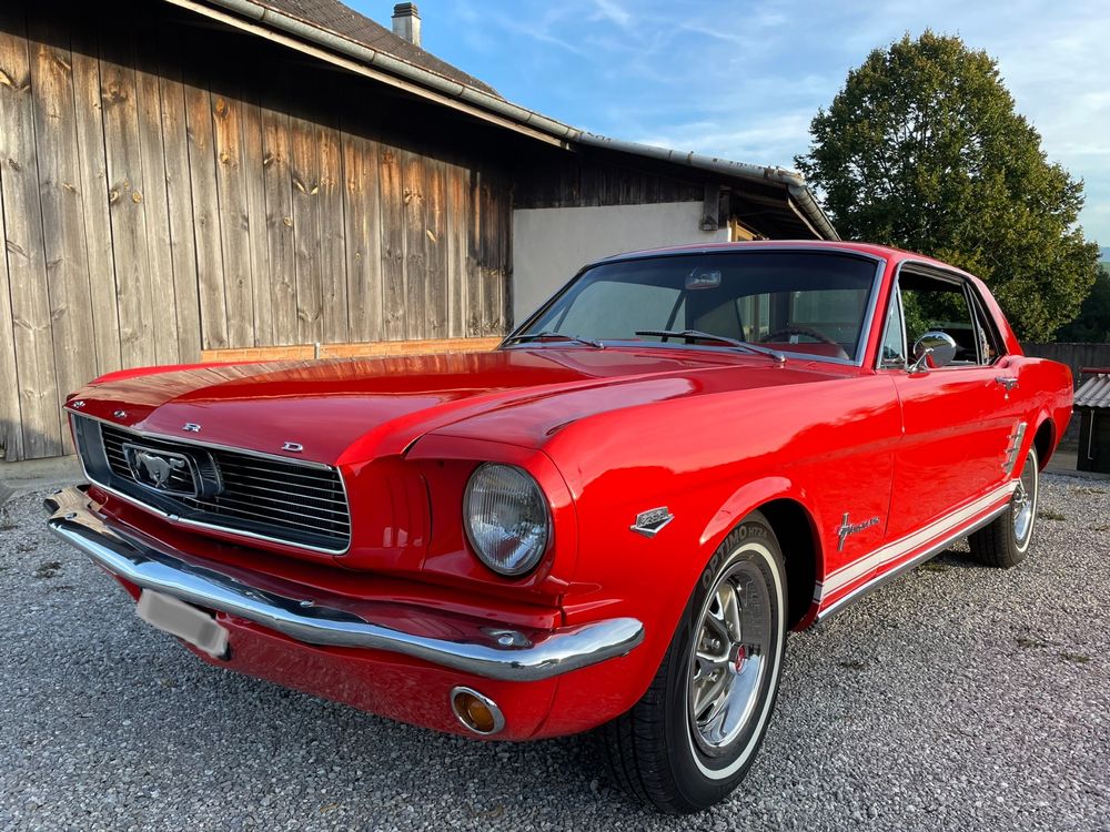 Fabelhafte Ford Mustang Gebraucht Kaufen Bilder