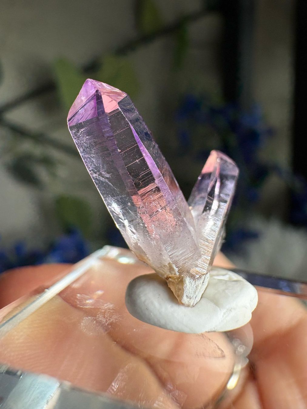 Pietre preziose: Veracruz Amethyst – Nuovo (secondo la descrizione) da Neuheim venduto da m.hald 2