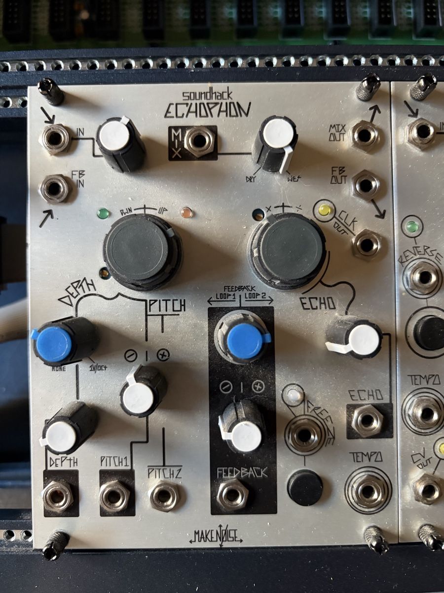 Musikinstrumente: Makenoise Echophon delay – Gebraucht aus villarlod von Oliviermagarotto