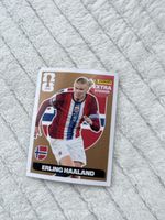 Panini bronze extra sticker Erling Haaland