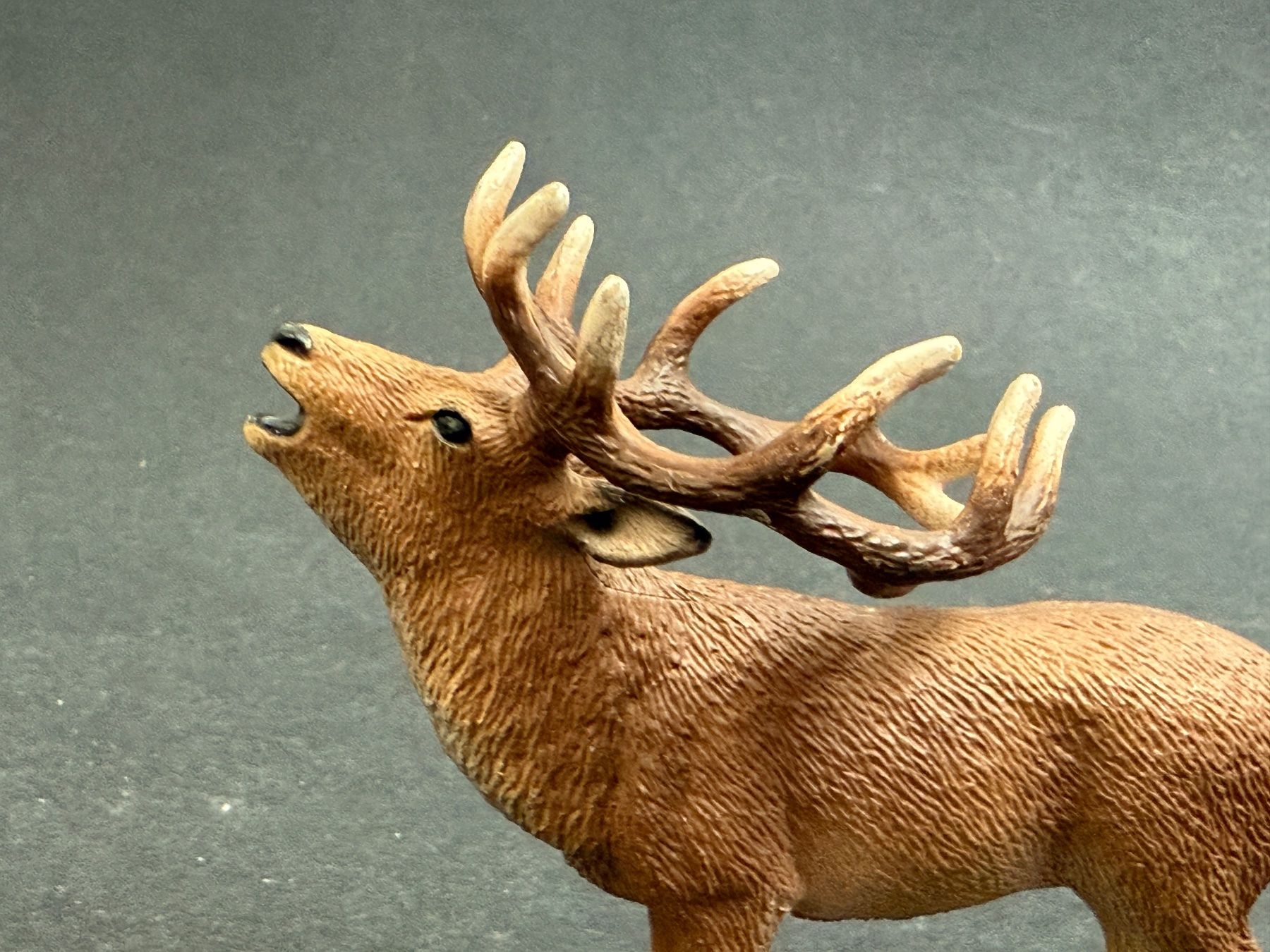 Schleich Statuette: Schleich 14647 Rothirsch Hirsch – Usato da Ennetbaden venduto da mapa05 2