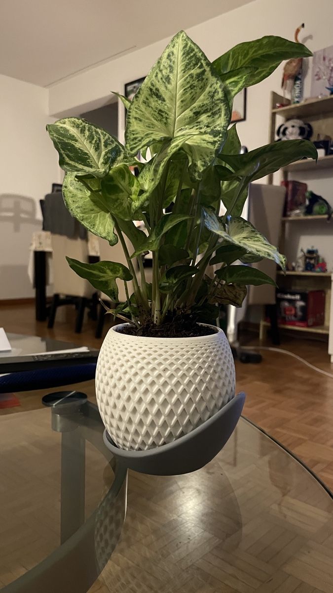 Pots de fleurs: Polygon Planter, Premium 3D Printed – Neuf avec emballage d'origine à Luzern par Vi-Print