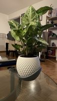 Polygon Planter, Premium 3D Printed