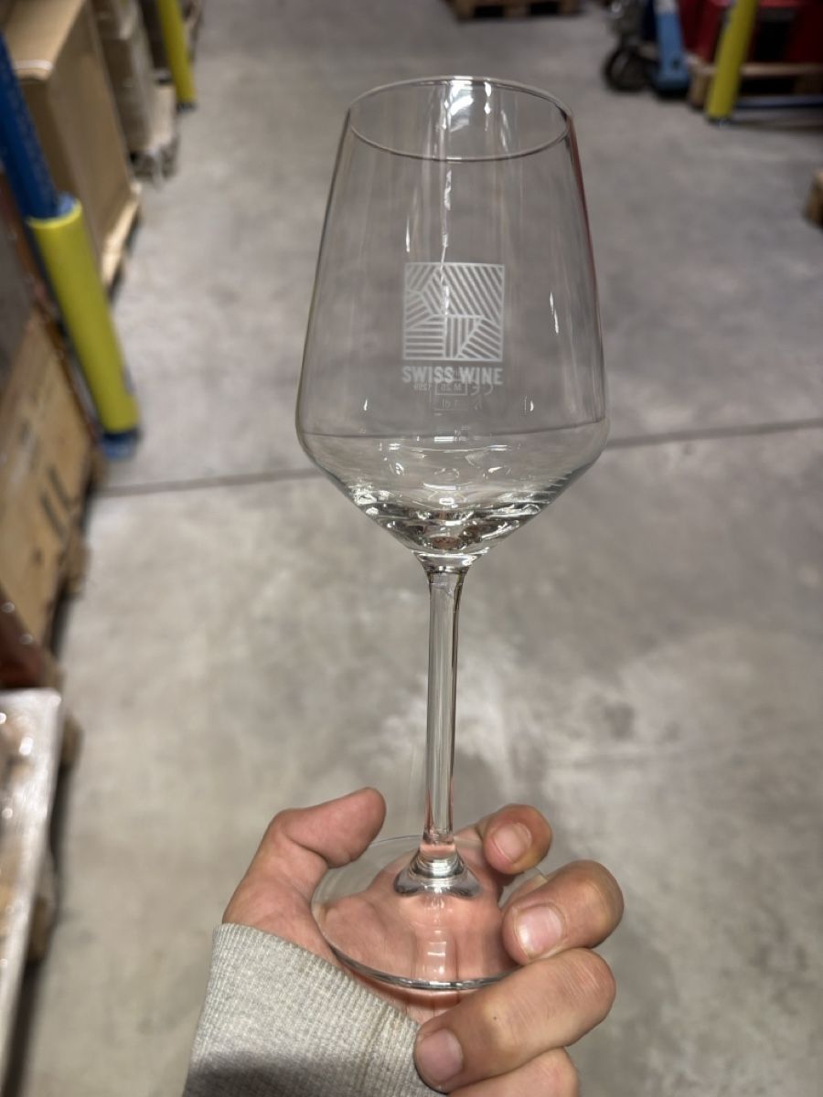 Bicchieri: Weingläser Ivento - rotwein - schott zwiesel – Nuovo e nell'imballaggio originale da Niederglatt ZH venduto da RWOG 3