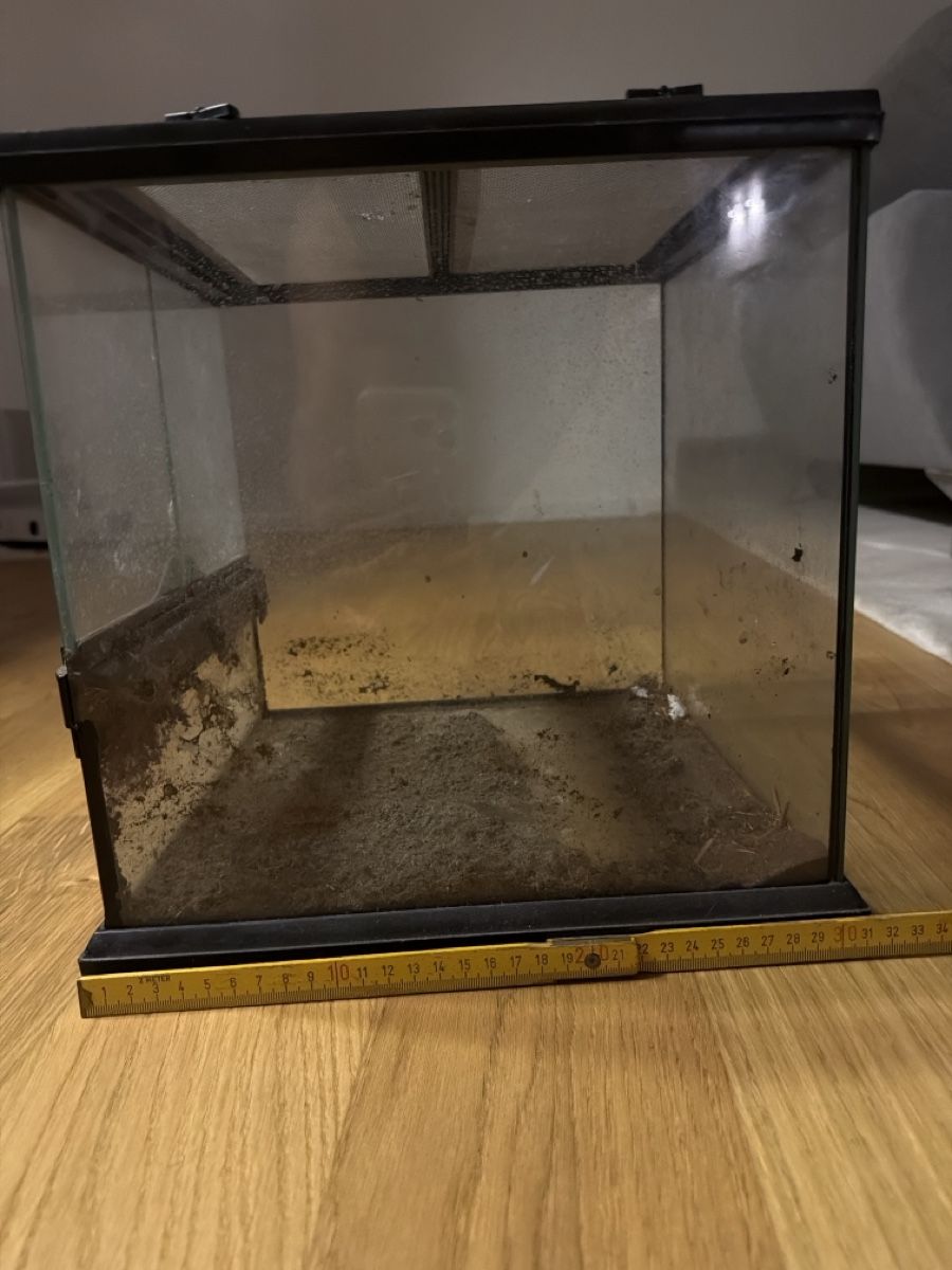 Terrario: Exo Terra Terrarium – Usato da Horgen venduto da bok_6ttc 2