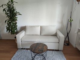 Gemütliches weißes Sofa + Tisch + Teppich + Drachenpalme