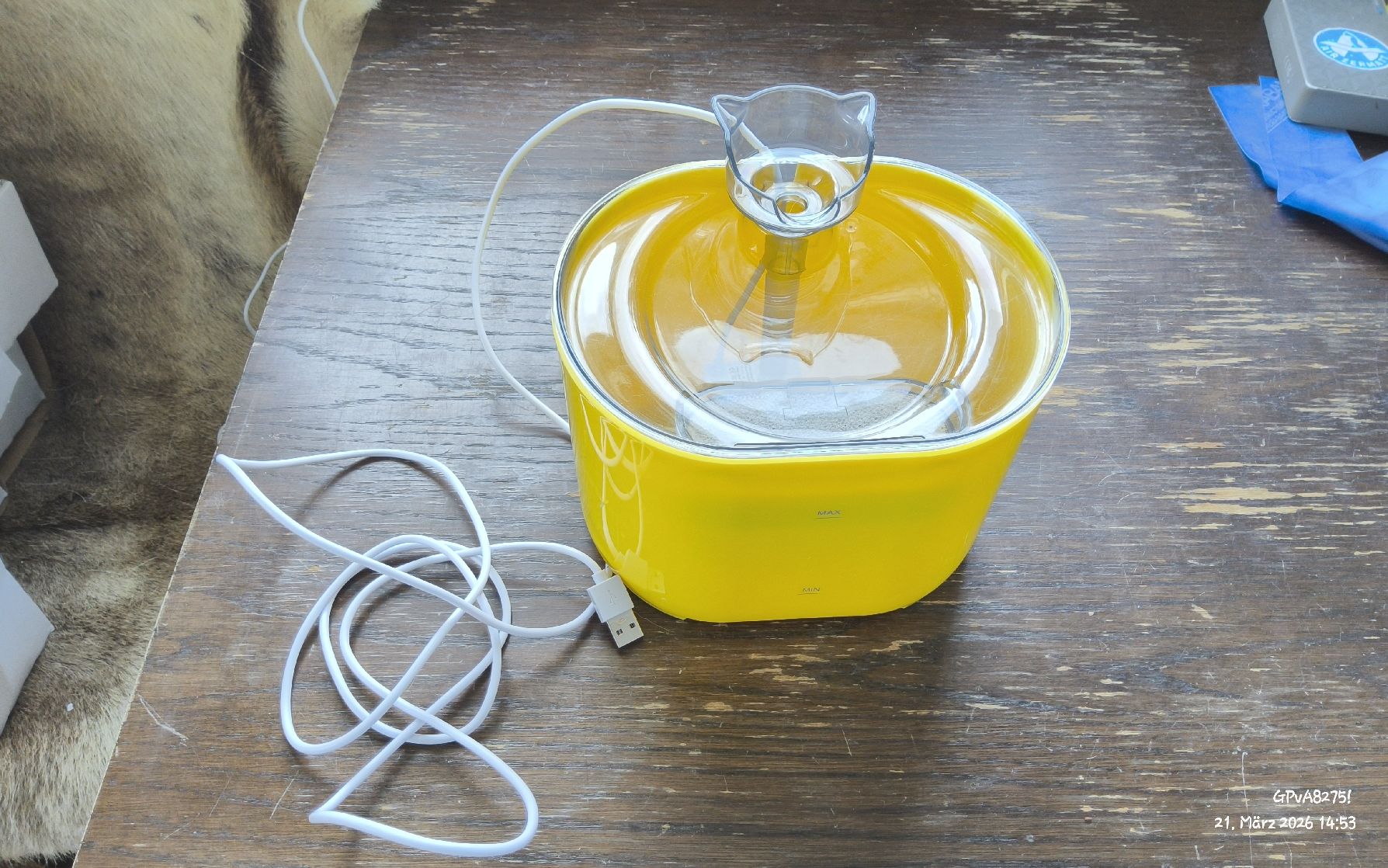 Stagni & Fontane ornamentali: Katzen Trinkbrunnen. Gebraucht. – Nuovo (secondo la descrizione) da Bellwald venduto da Gpvonallmen 1