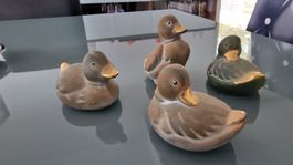 Elegante Enten - Gruppe