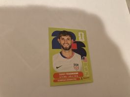 FIFA WM 2026 Tanner Tessmann USA 9