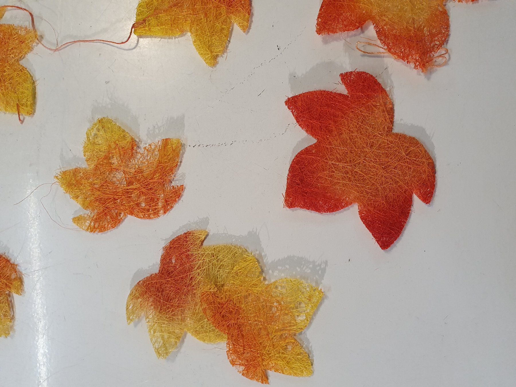 Piante & sementi: Herbstschmuck – Usato da Zürich venduto da loosebone 1