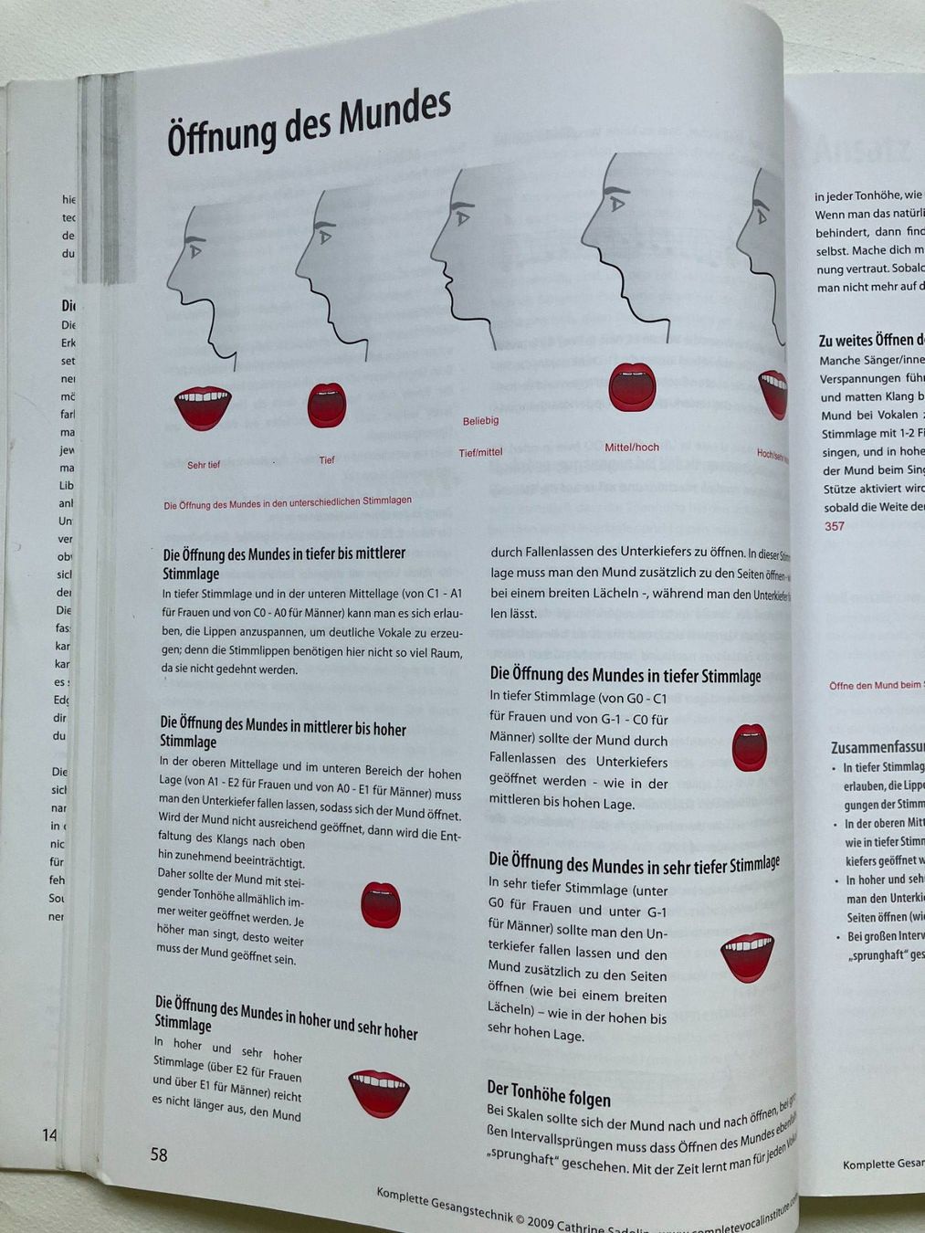 Libri: Vocal Schule Komplette Gesang Technik Catherine Sadolin – Usato da Aarau venduto da rol_mz8k 3