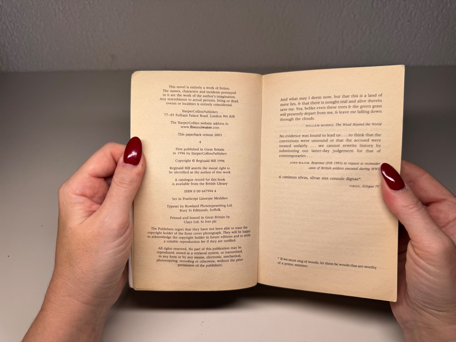 Libri: NOVEL: Reginald Hill, The Wood Beyond – Usato da Grosswangen venduto da English_books 4