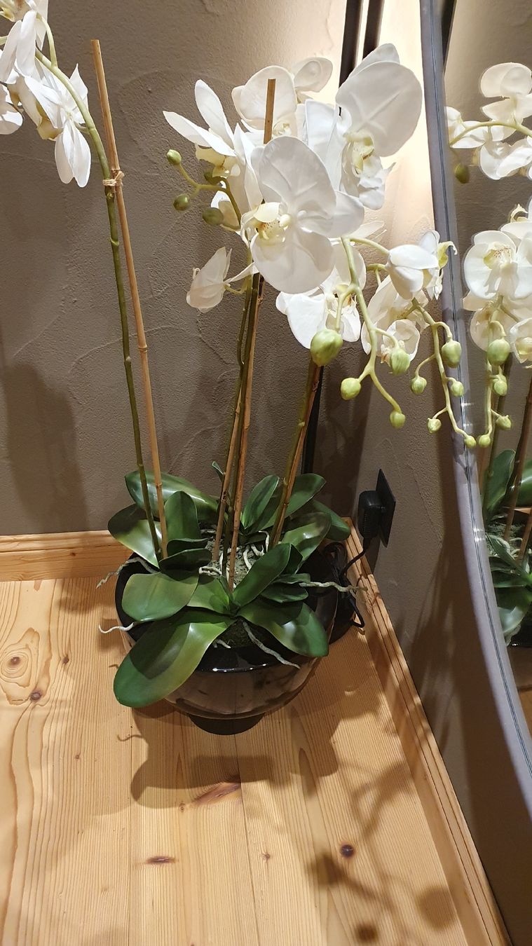 Tutte le decorazioni: Wunderschöne Kunst-Orchidee im Topf – Usato da Kölliken venduto da Jonalu 2