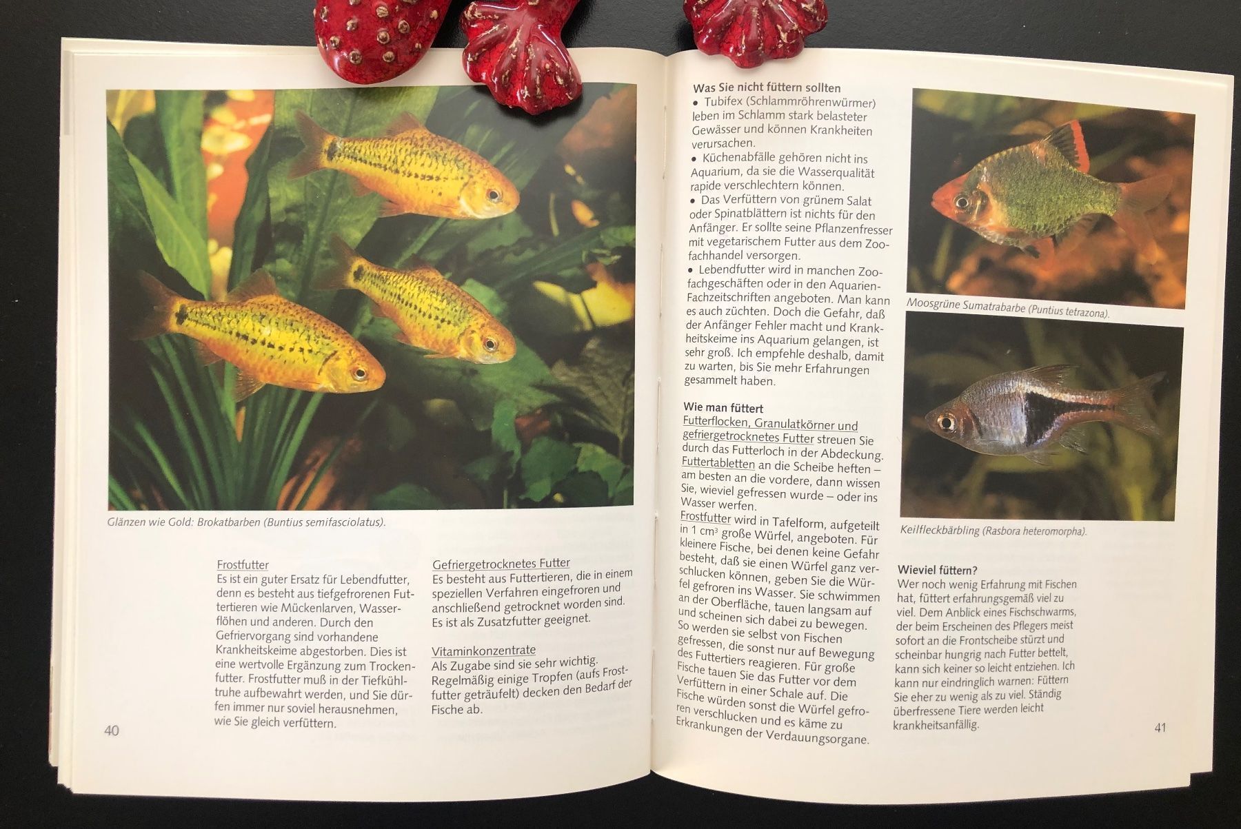 Bücher: Das Aquarium / GU RATGEBER – Gebraucht aus Nussbaumen AG von schuba2000 2