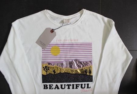 Zara T-Shirt Gr. 164, neu!