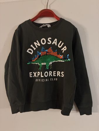 Pullover Dinos mit Pailletten Gr. 122/128
