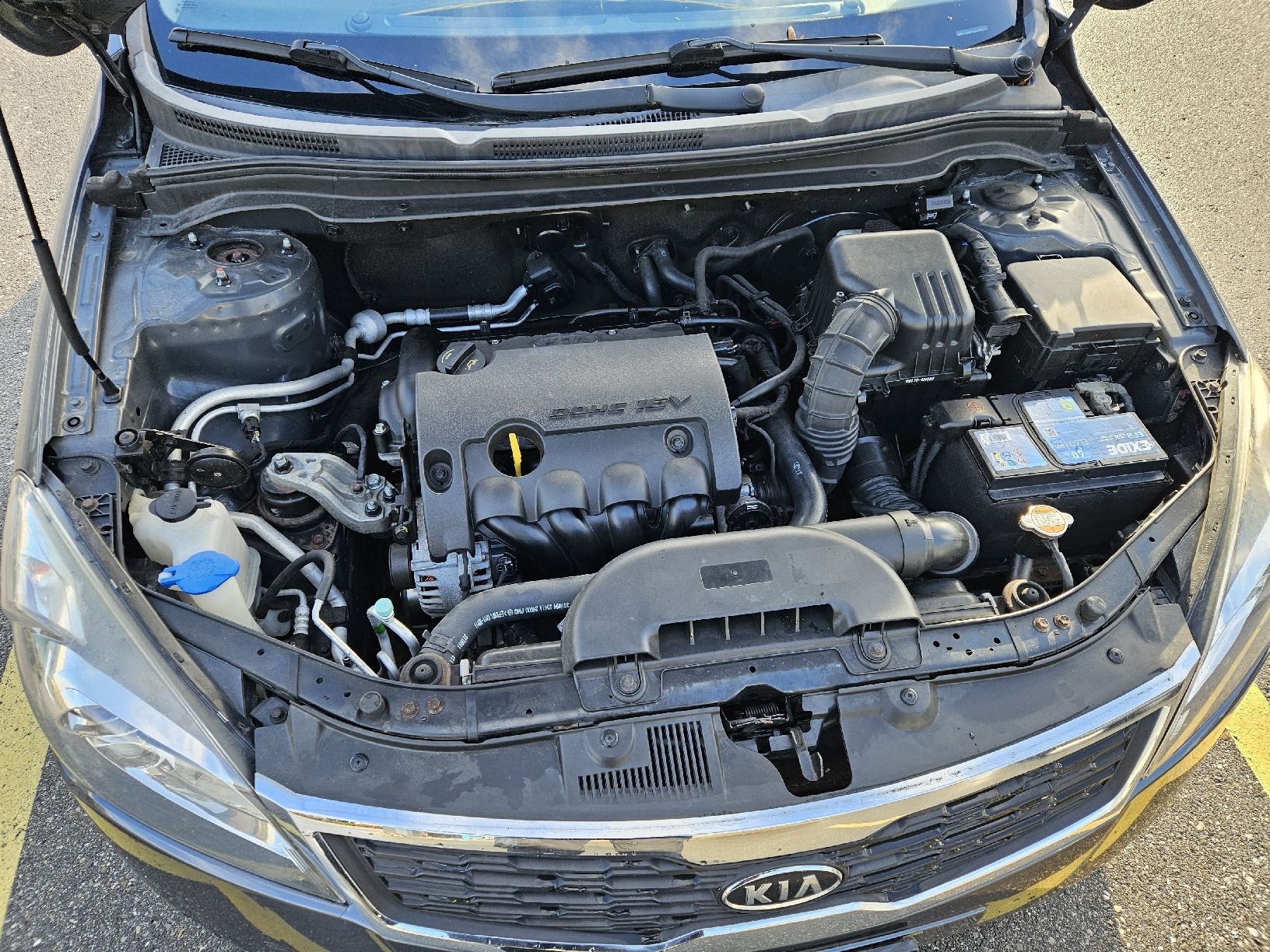Kia Automobili: kia Ceed 1.4 sw – Difettoso da Cottens VD venduto da speedygreg 6