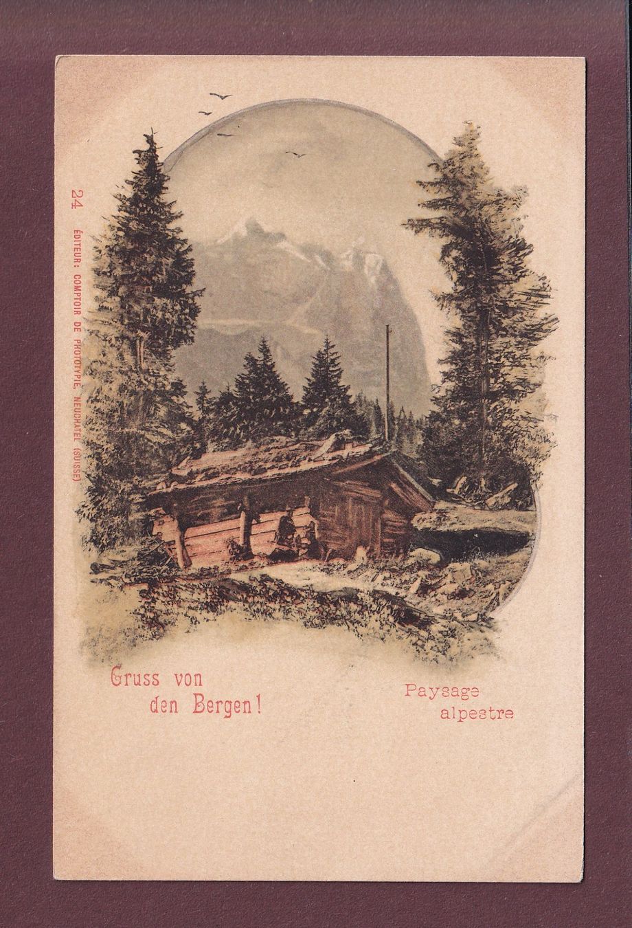 Cartoline postali: Gruss von den BERGEN - CPN – Usato da Pully venduto da nicecards