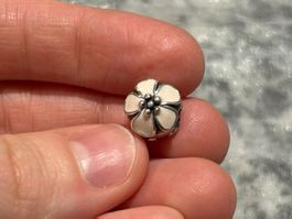Pandora Clip Charm Blume (Blüten-Design) 🌸 Frühling - ALE