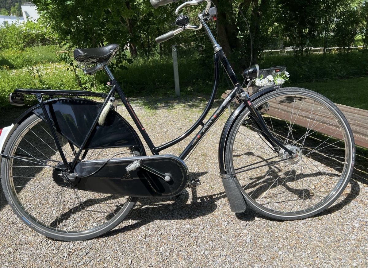 Biciclette: Gazelle Popular – Usato da Fällanden venduto da Caramel7 1