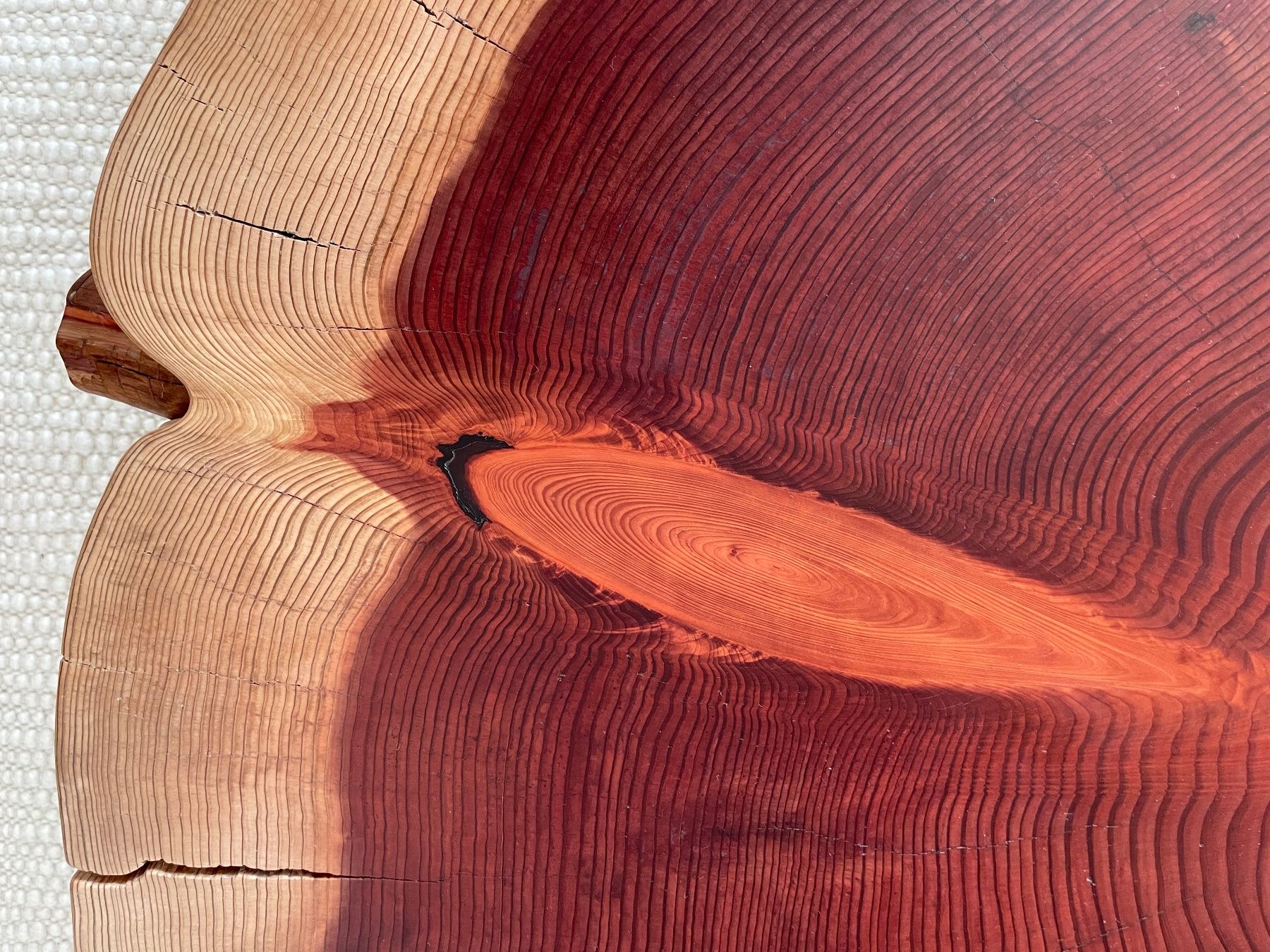 Tavoli: 130-year-old giant sequoia cookie slab lounge table – Nuovo (secondo la descrizione) da Meilen venduto da TN20 2
