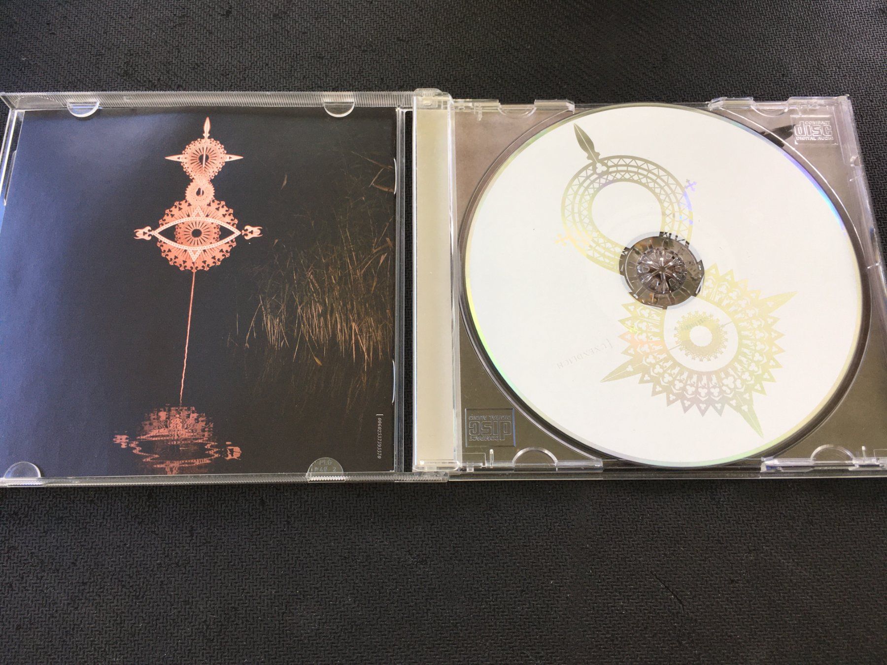 CDs: Schandmaul - Unendlich -CD- – Gebraucht aus St.Gallen von MedienJoe 1