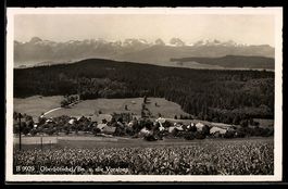 AK Oberbütschel, Gesamtansicht mit Voralpen