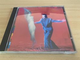 Peter Gabriel – Us