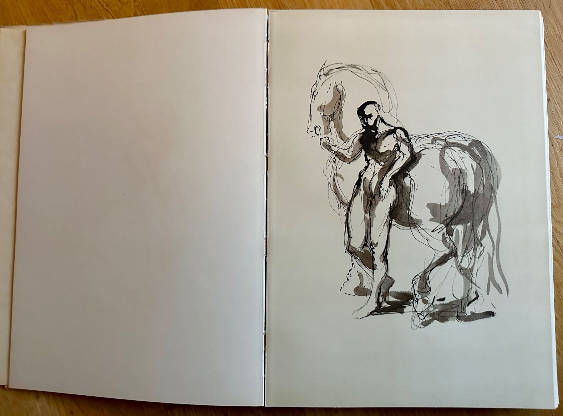 Bücher: Gunter Böhmer: Tagebuch eines Malers. 1944 – Gebraucht aus Zürich von allp 3