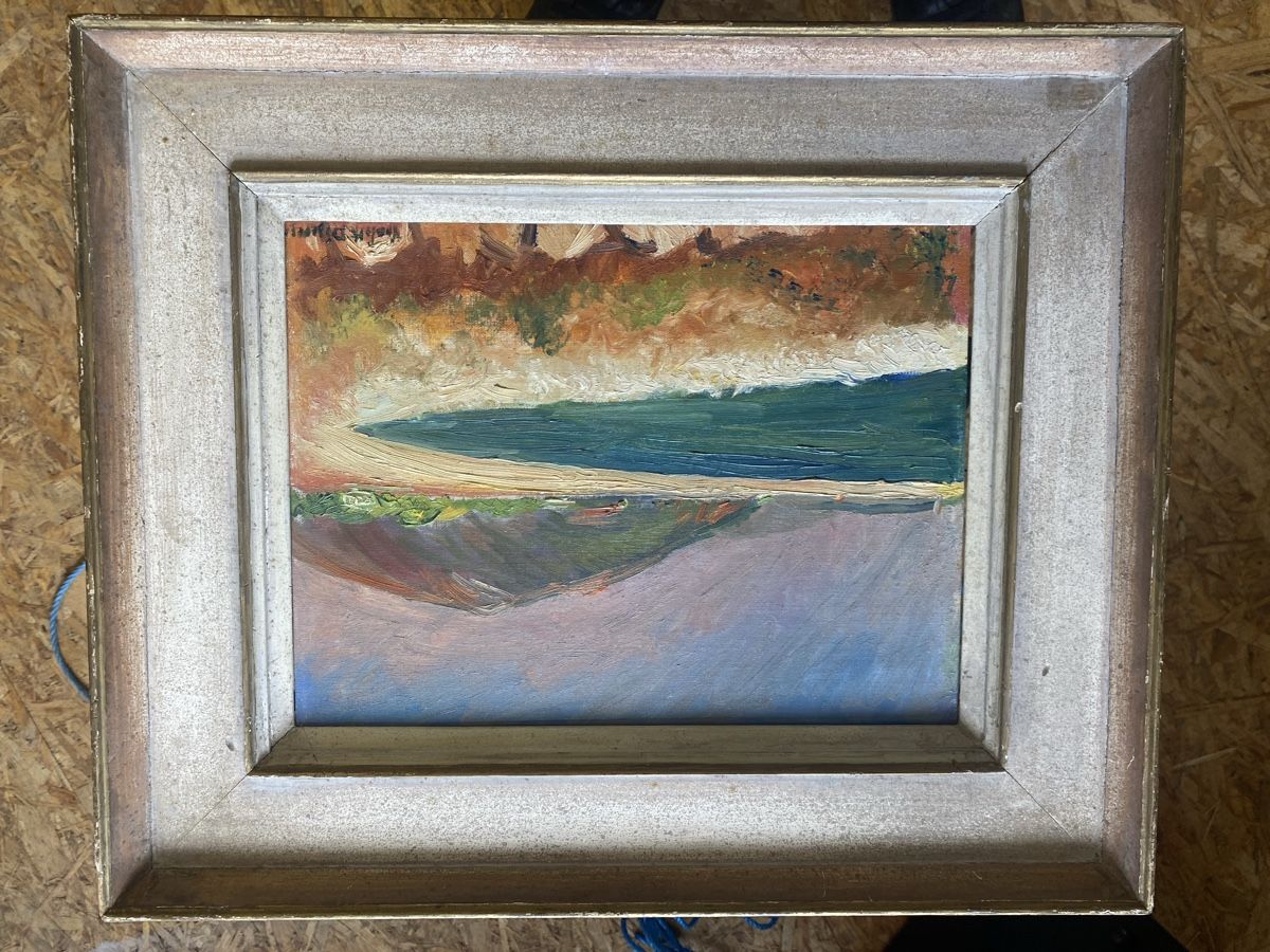 Dipinti: Peinture de Violette Diserens  – Usato da Lausanne venduto da Csamadhi