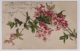 Ansichtskarte Blumenstrauss mit Rasierklingen-St. 13.IV.04