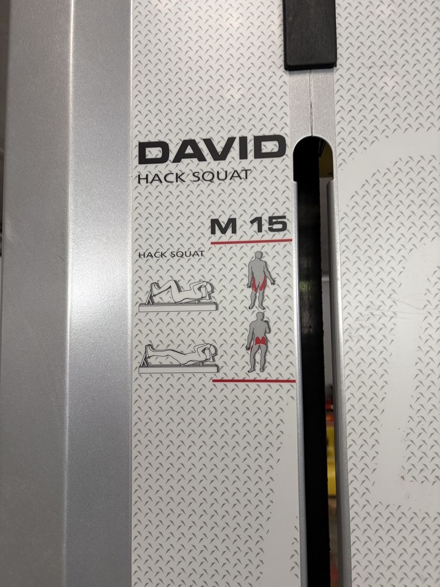 Hometrainer: David M15 Hack Squat – Profi-Qualität – Usato da Emmenbrücke venduto da A1i 3