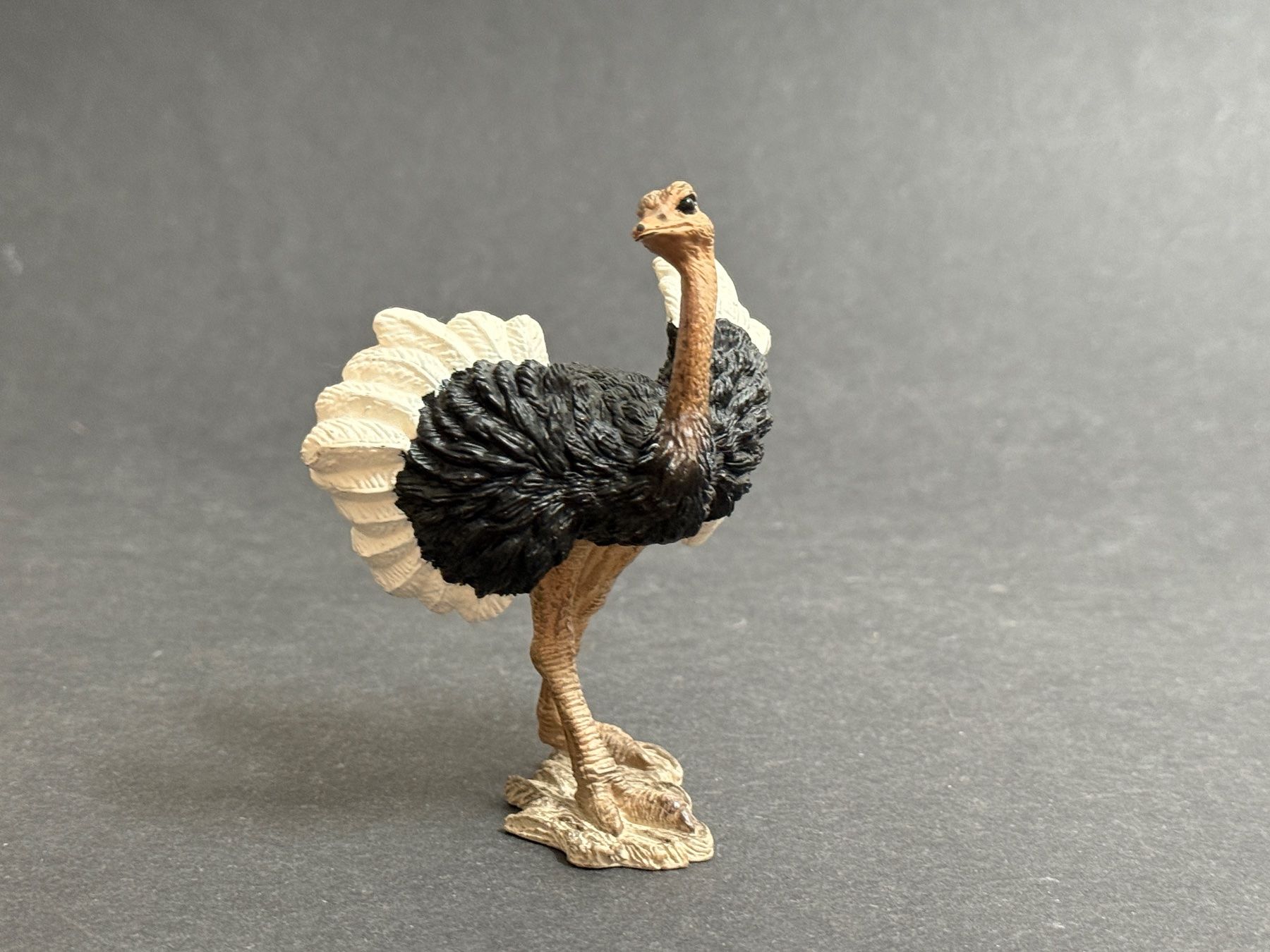 Schleich Statuette: Schleich Strauss Straussenmännchen – Usato da Ennetbaden venduto da mapa05 6