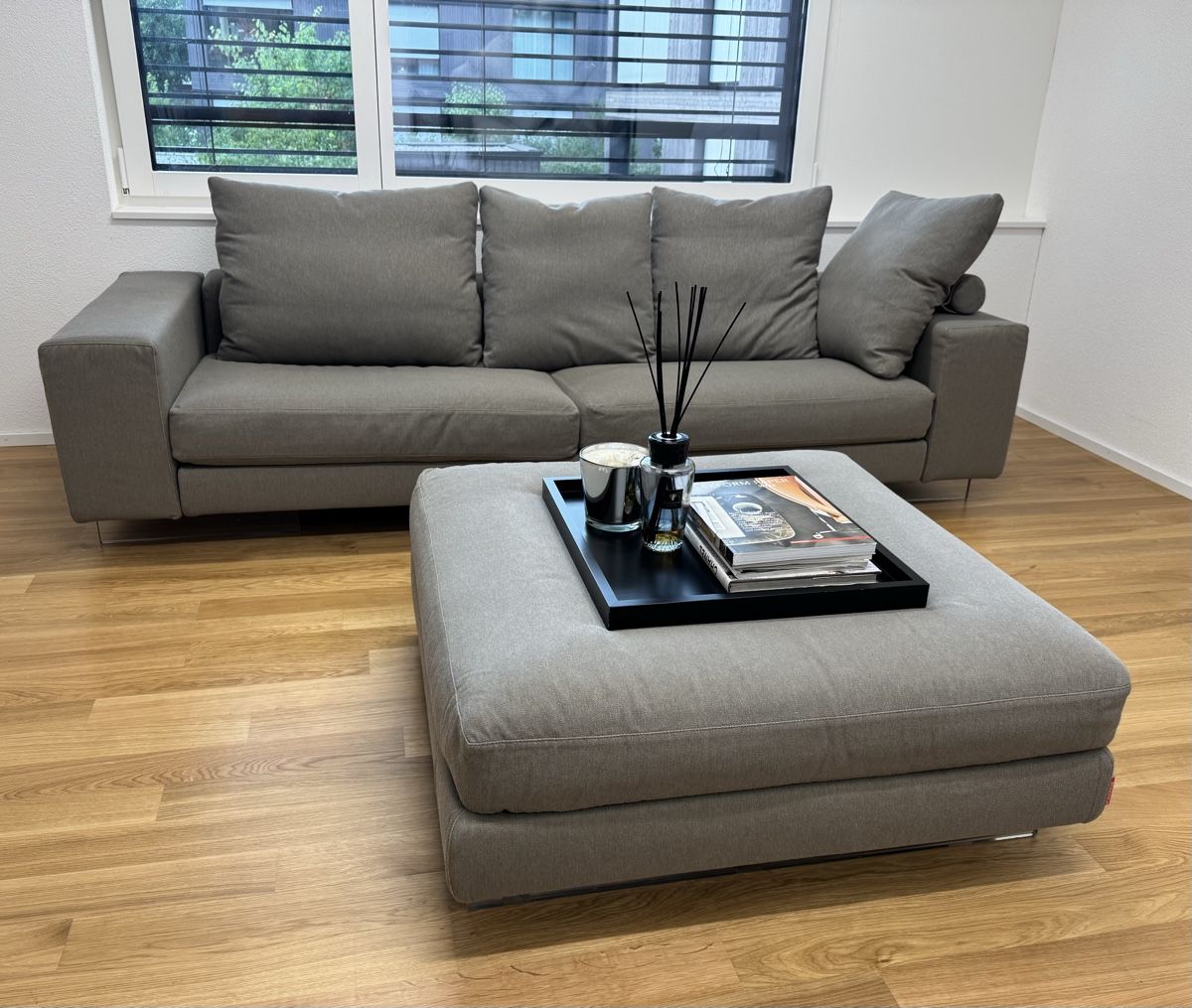 Sofas: Flexform Lightpiace Sofa – Gebraucht aus Luzern von MN12