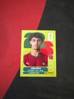 Panini FIFA WM 2026 Sticker - POR 17