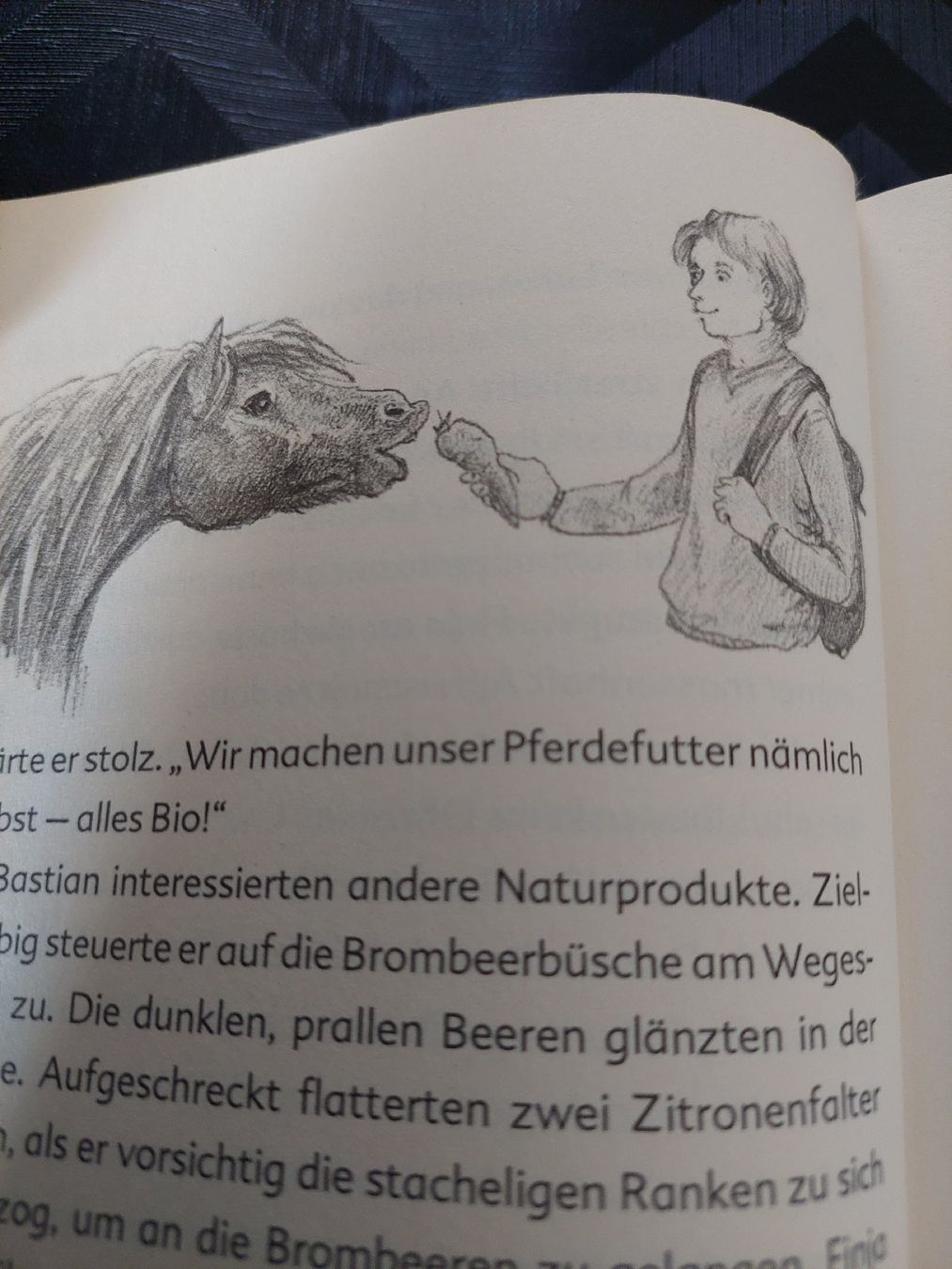 Bücher: 2 Pferdebücher – Gebraucht aus Zetzwil von lanst08 3