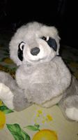 Süsser Waschbär Kuscheltier, neuwertig, tolles Geschenk!