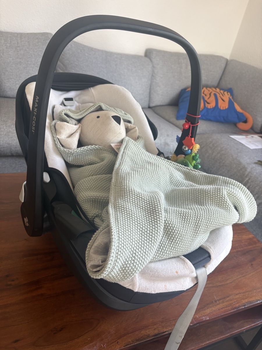 Lässig Coperte: Decke für Maxi Cosi – Nuovo (secondo la descrizione) da Grüt (Gossau ZH) venduto da fab_xmy9 1