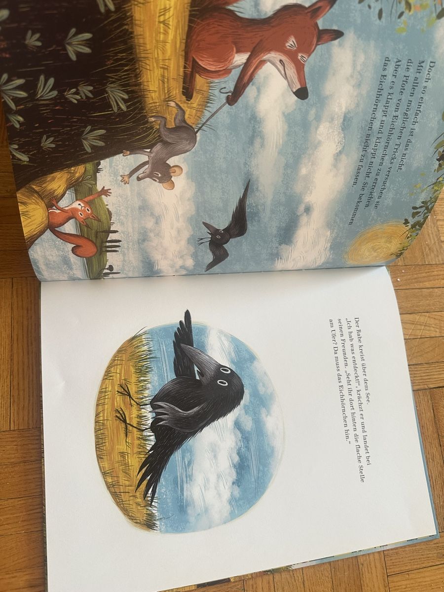 Libri: Im Sommerwald Daniela Kulot – Usato da Uster venduto da bek_v2ct 4