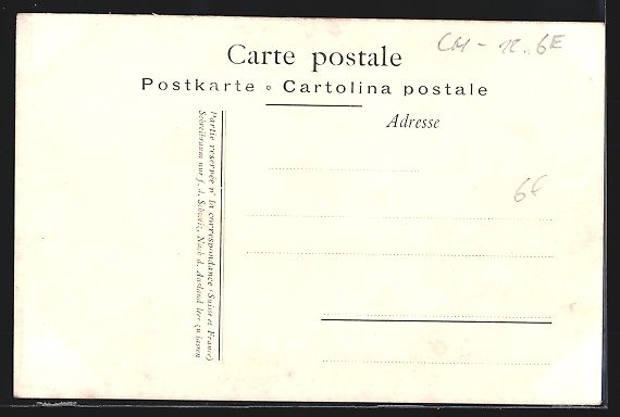 Cartoline postali: Genève, Rue du Mont-Blanc, Pferdebahn – Usato da Berlin venduto da bartko-reher 1