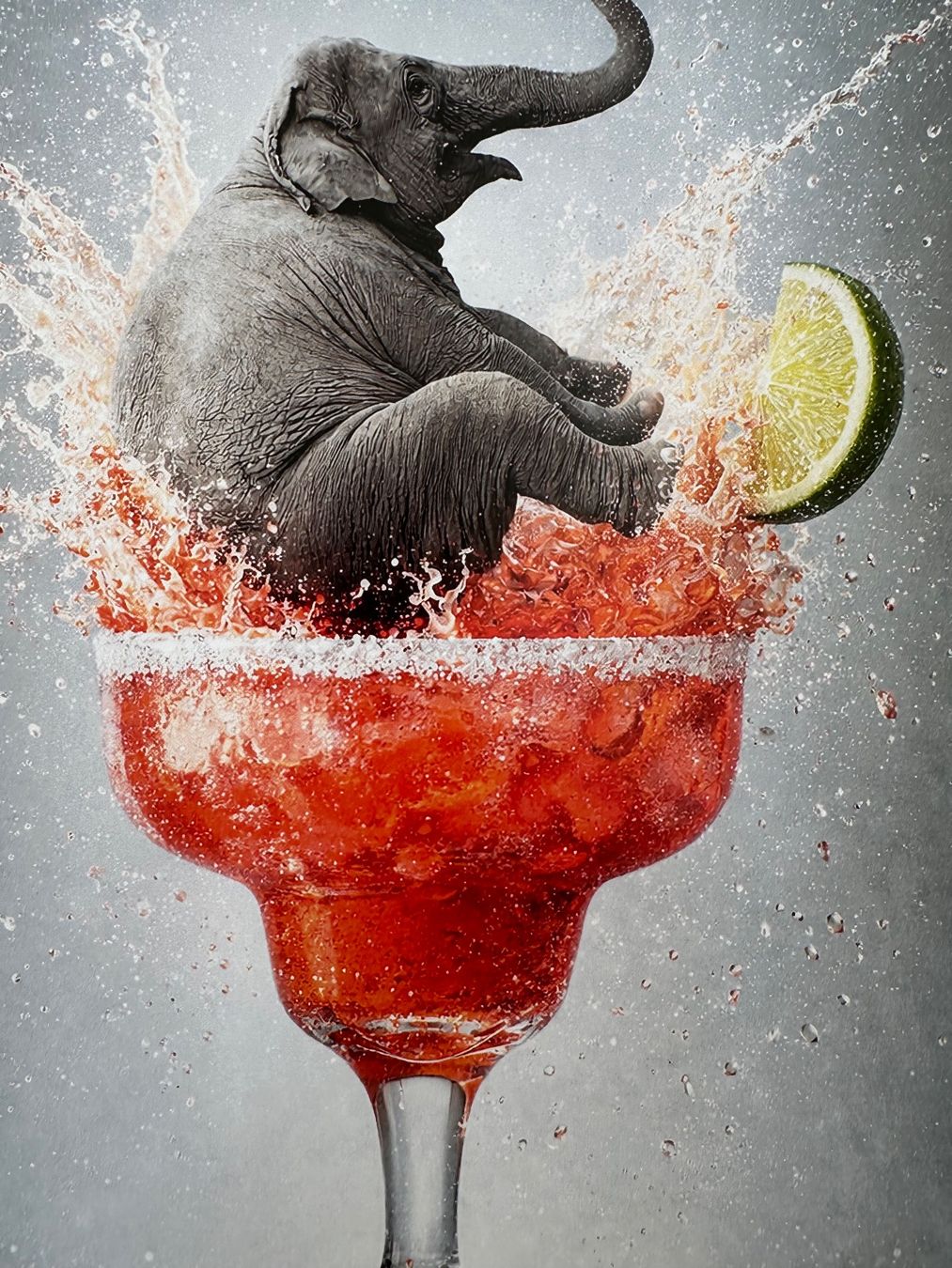 Foto & Immagini: Bubble Studio: Magherita Splash, signiert 15/50 – Nuovo (secondo la descrizione) da Meilen venduto da Art-Friend 2