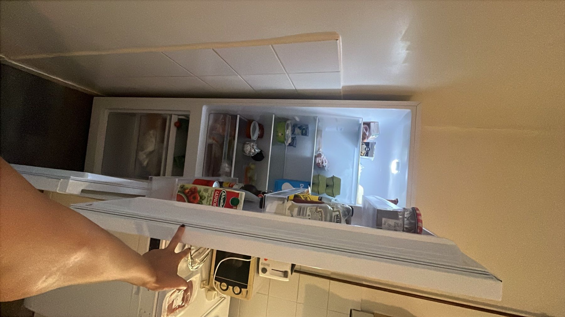 Kühlschrank: Fridge + Dishwasher – Gebraucht aus Genève von ang_5v9z 3