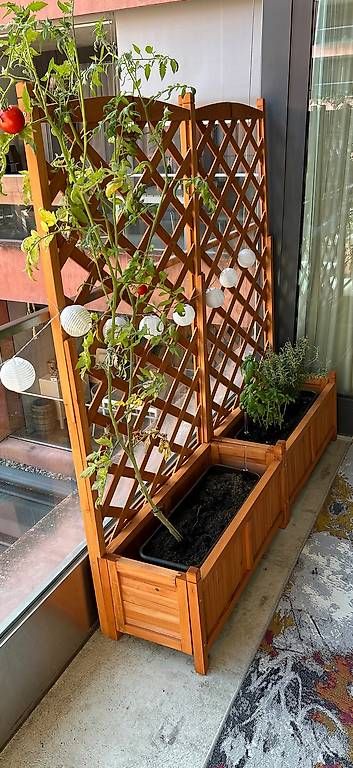 Altre Decorazioni per giardino: 3 Blumenkasten mit Rankgitter  – Usato da Winterthur venduto da Calgory