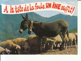 Animaux Humoristiques (3), um 1970