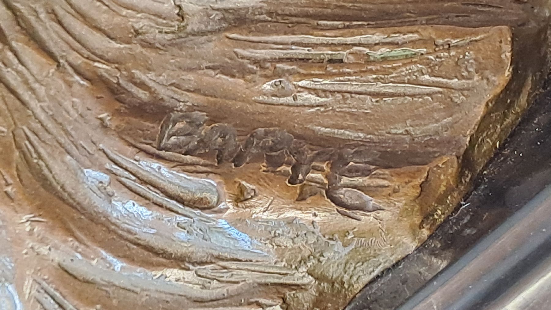 Sculture & Statue: SCHÖNE BARYE BRONZE RAUBKATZE – Usato da schönholzerswilen venduto da Vistapoint 2